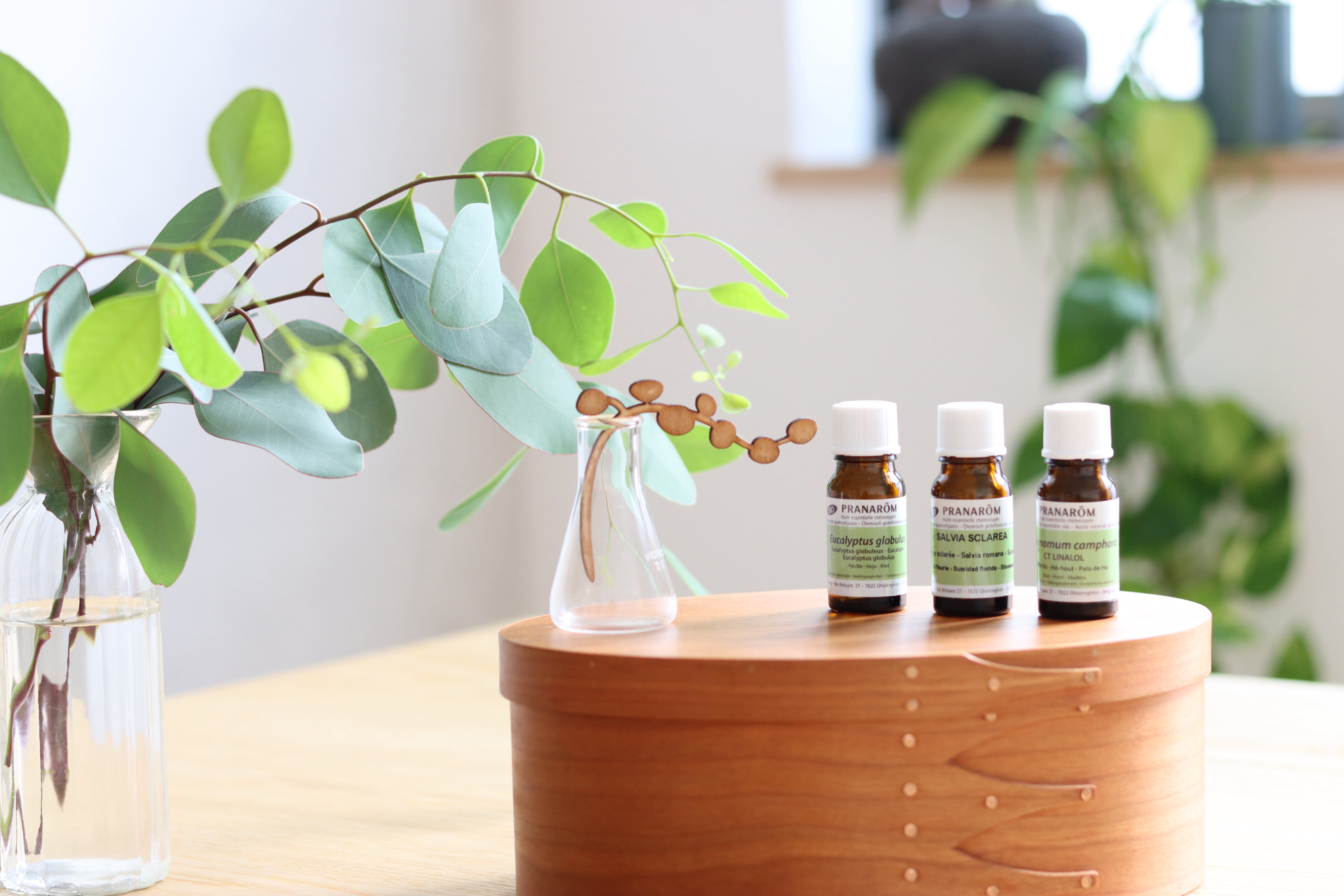 ギャラリー画像